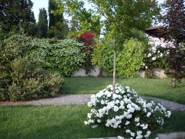 La Magnolia - Fano Bed & Breakfast エクステリア 写真