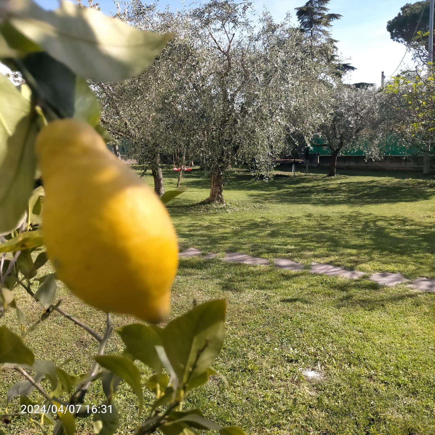 La Magnolia - Fano Bed & Breakfast エクステリア 写真