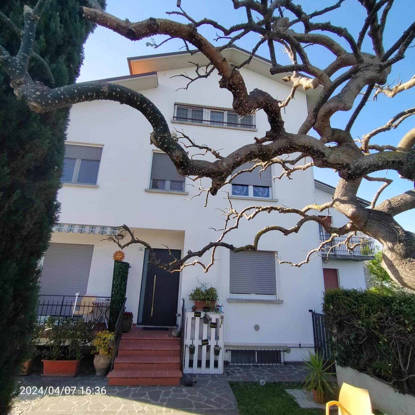 La Magnolia - Fano Bed & Breakfast エクステリア 写真