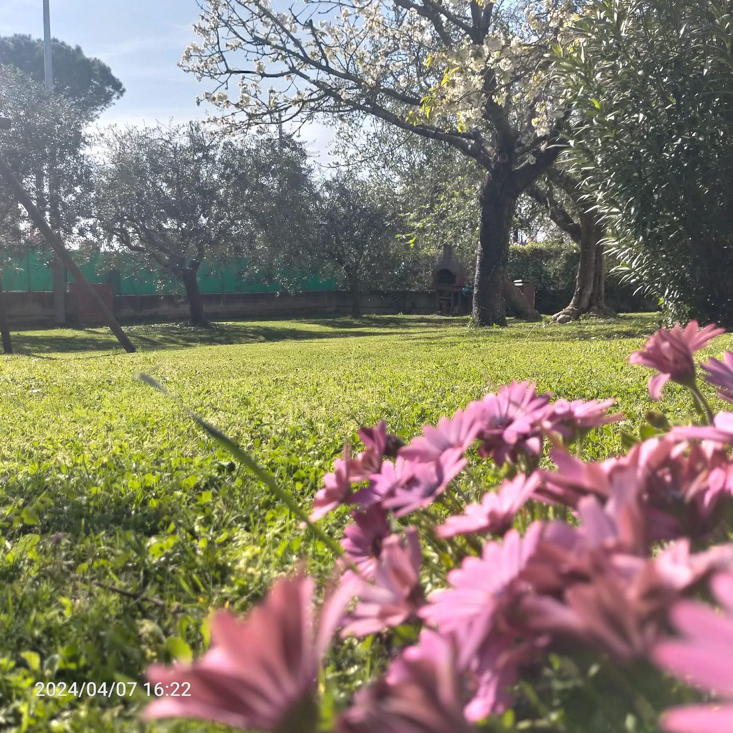 La Magnolia - Fano Bed & Breakfast エクステリア 写真