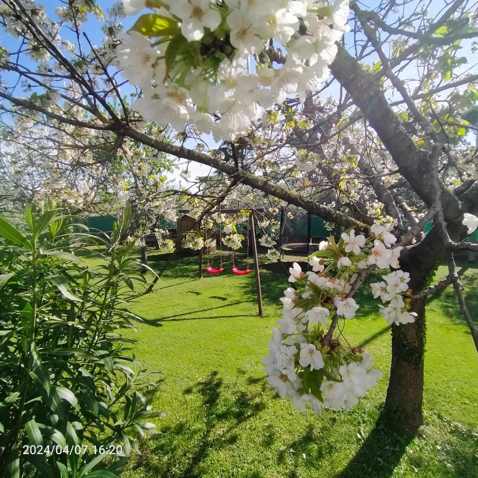 La Magnolia - Fano Bed & Breakfast エクステリア 写真